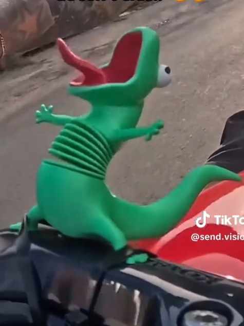 Wobbling lizard motorcycle